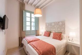 Apartment Palacio Cabrera Lillo Granada